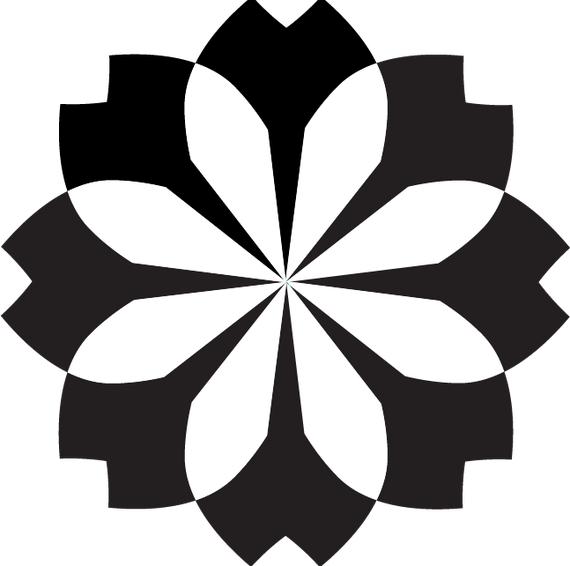 image-fallback